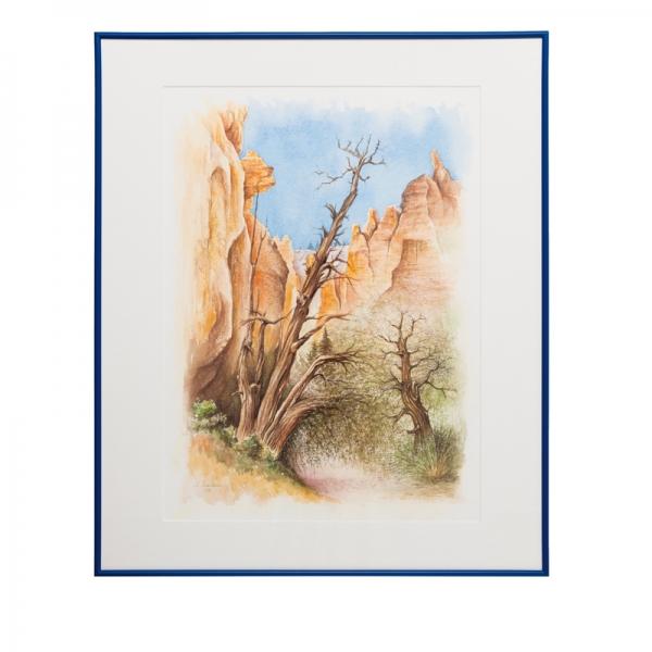 Bryce Canyon, USA | 1996